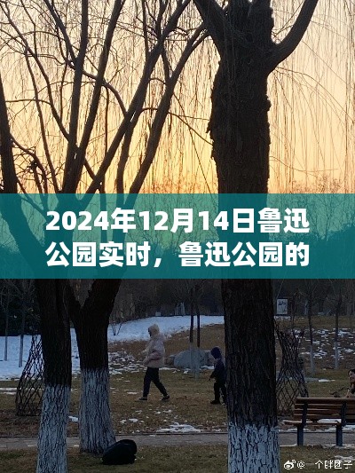 魯迅公園冬日暖陽下的日常奇遇與溫馨時光紀實(實時更新)