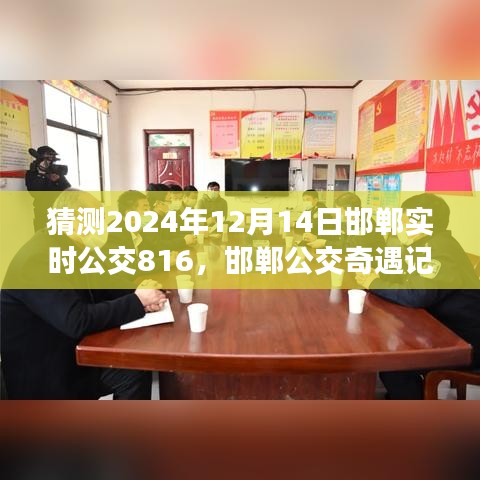 邯鄲公交奇遇記,揭秘與公交816的不解之緣,預測2024年12月14日實時動態