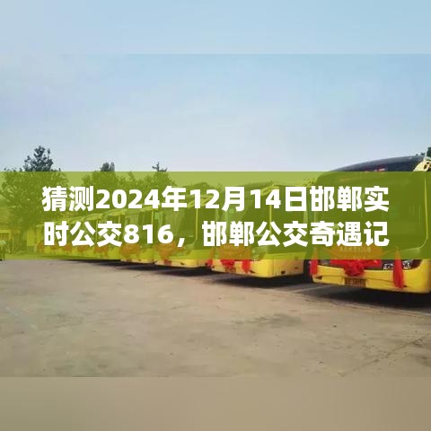 邯鄲公交奇遇記,揭秘與公交816的不解之緣,預測2024年12月14日實時動態