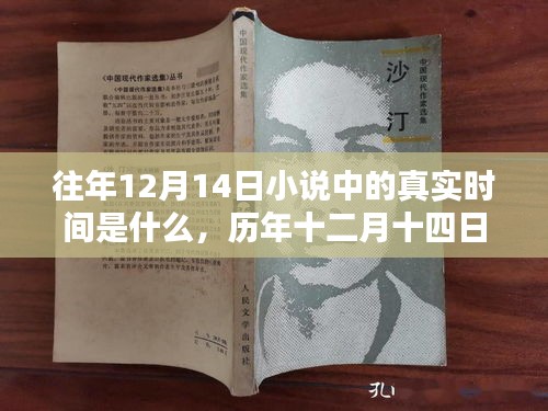 歷年十二月十四日小說中的時(shí)間深度解析,特性、體驗(yàn)、競品對比與用戶群體分析