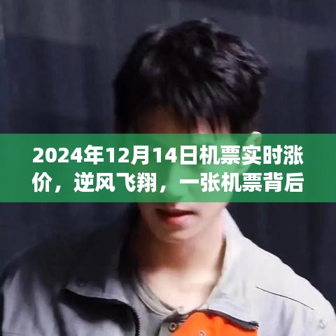 逆風(fēng)飛翔背后的溫情故事,一張機(jī)票的實(shí)時(shí)漲價(jià)與感人故事