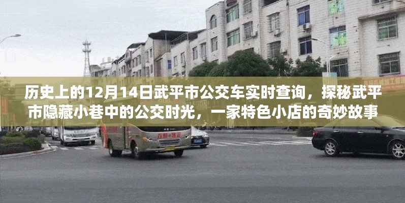 武平市公交探秘,歷史實時查詢與隱藏小巷的公交時光之旅特色小店故事
