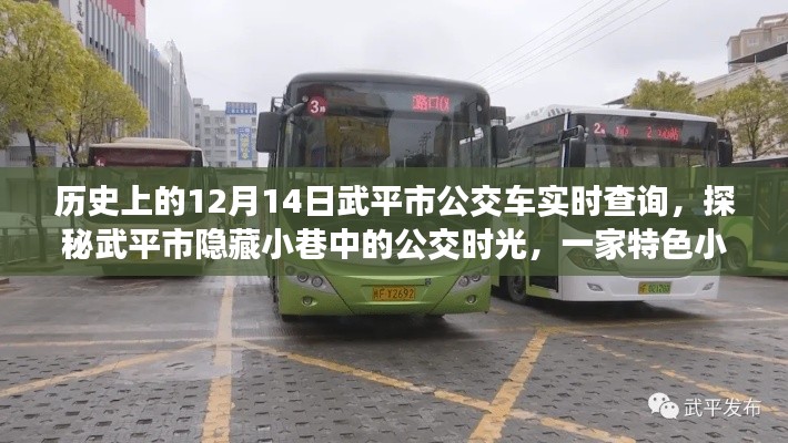 武平市公交探秘,歷史實時查詢與隱藏小巷的公交時光之旅特色小店故事