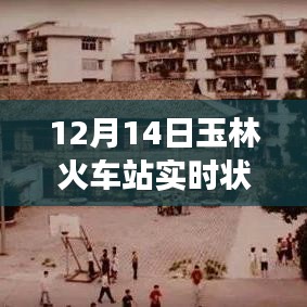 玉林火車站12月14日實時觀察,擁擠與效率并存的情況