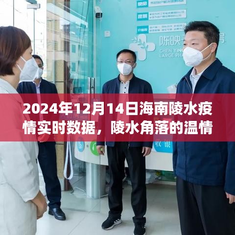 海南陵水疫情下的溫情角落,愛與陪伴的日常故事(實時數據報告)