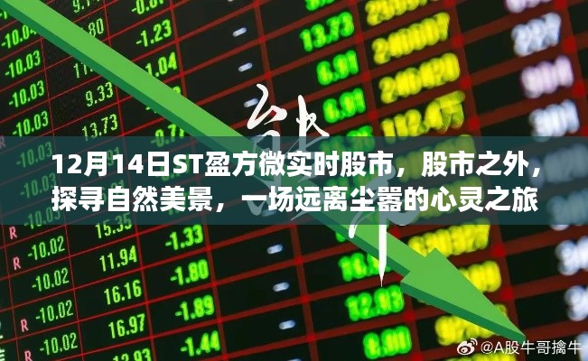 ST盈方微股市輕語(yǔ),探尋自然美景的心靈之旅,啟程于股市之外