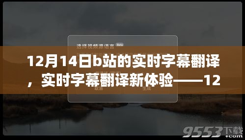 12月14日B站實時字幕翻譯新體驗,深度評測與功能探索