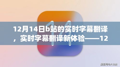 12月14日B站實時字幕翻譯新體驗,深度評測與功能探索