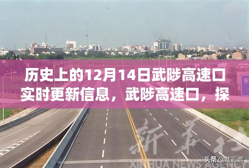 武陟高速口,探尋自然美景的啟程之地,揭秘歷史與未來,奇妙旅程盡在12月14日