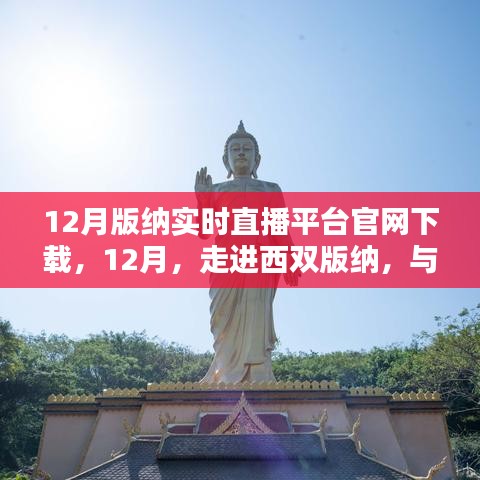 西雙版納實時直播平臺官網下載盛況回顧,與大自然共舞,體驗直播魅力