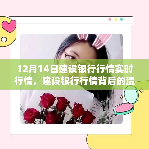 建設銀行行情背后的故事,特殊行情之旅揭秘溫馨故事(12月14日實時行情)