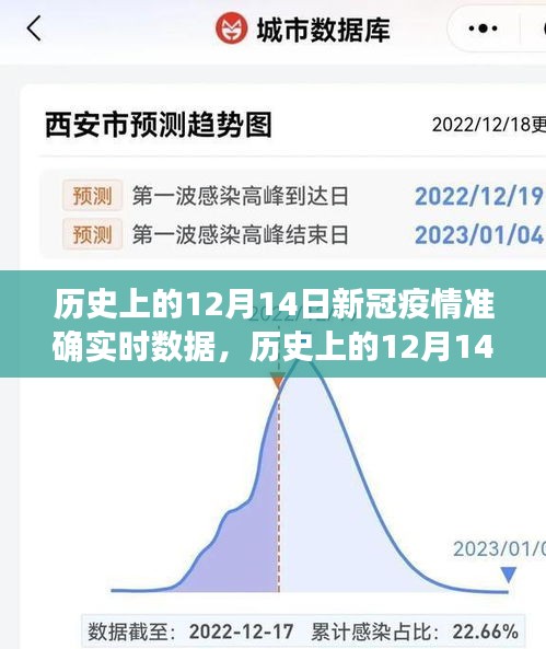 歷史上的12月14日新冠疫情實時數據解析與產品評測