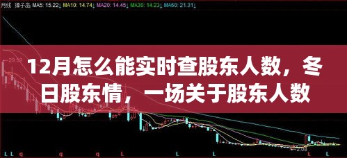 冬日股東情,實時查詢股東人數的故事與指南