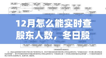冬日股東情,實時查詢股東人數的故事與指南