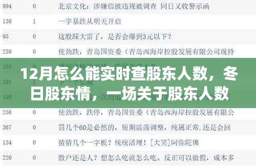 冬日股東情,實時查詢股東人數的故事與指南