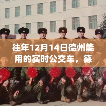 德州歷年十二月十四日實時公交深度洞察,背景、進展與影響分析