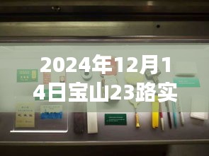 探秘寶山23路，巷弄深處的特色小店，驚喜之旅（實時動態(tài)，2024年12月14日）