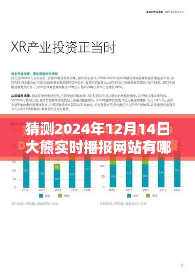 預測未來,探索大熊實時播報網站在2024年12月14日的形態