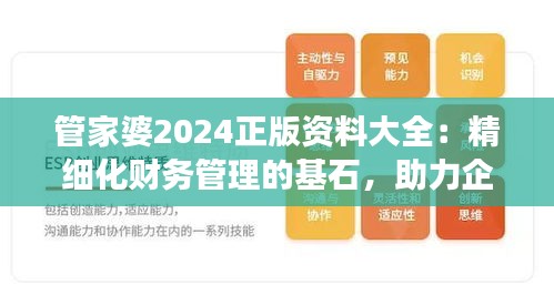 管家婆2024正版資料大全：精細化財務管理的基石，助力企業穩健發展