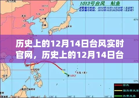 歷史上的12月14日臺風(fēng),實時官網(wǎng)揭示背后的力量與自信的風(fēng)暴之路