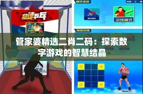 管家婆精選二肖二碼：探索數字游戲的智慧結晶