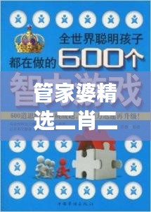 管家婆精選二肖二碼:探索數(shù)字游戲的智慧結(jié)晶