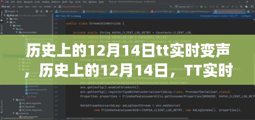 歷史上的1??月十四日,TT實時變聲技術的演變與影響