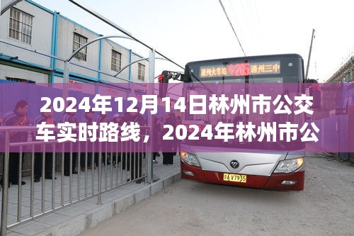 2024年林州市公交車實(shí)時(shí)路線指南,12月14日最新路線