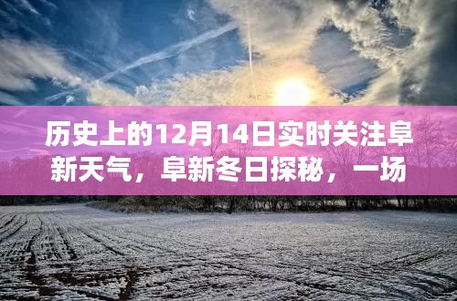 阜新冬日探秘,實時天氣關注與自然的邂逅之旅,尋找內心寧靜的冬日體驗