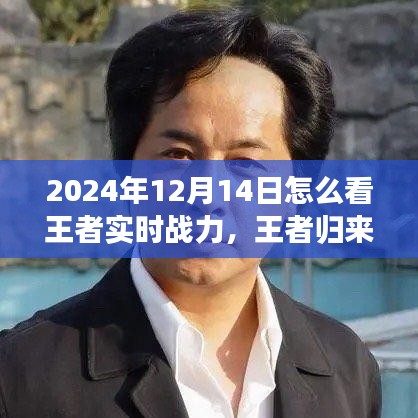 王者歸來,探尋自然美景之旅與解鎖內心平靜之力,實時戰力指南(2024年12月14日)