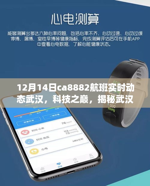 揭秘武漢CA8882航班實時動態追蹤神器,科技之巔的航班追蹤報道