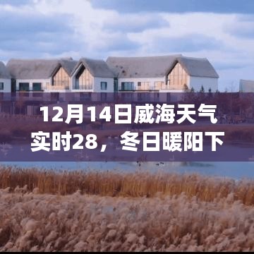 威海冬日暖陽下的友情奇遇,實時天氣與陪伴的溫馨故事