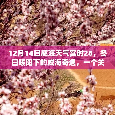 威海冬日暖陽下的友情奇遇,實時天氣與陪伴的溫馨故事