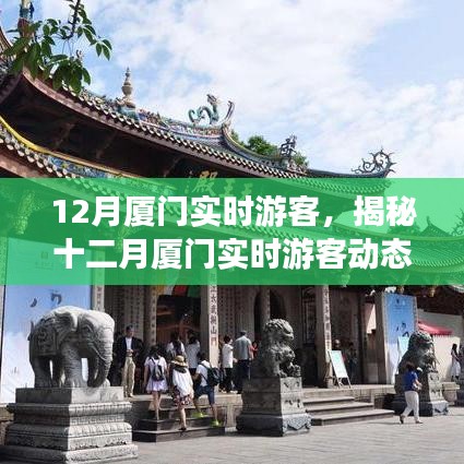 揭秘十二月廈門游客動態,旅游熱點、特征與活動亮點