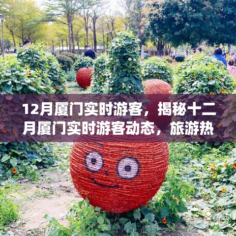 揭秘十二月廈門游客動態,旅游熱點、特征與活動亮點