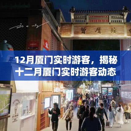 揭秘十二月廈門游客動態,旅游熱點、特征與活動亮點