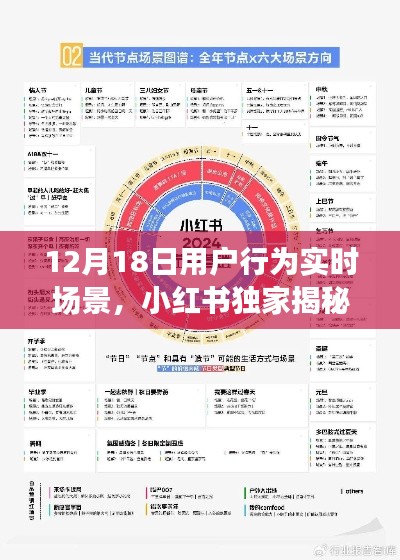 小紅書獨家揭秘,12月18日用戶行為實時場景全解析與洞察