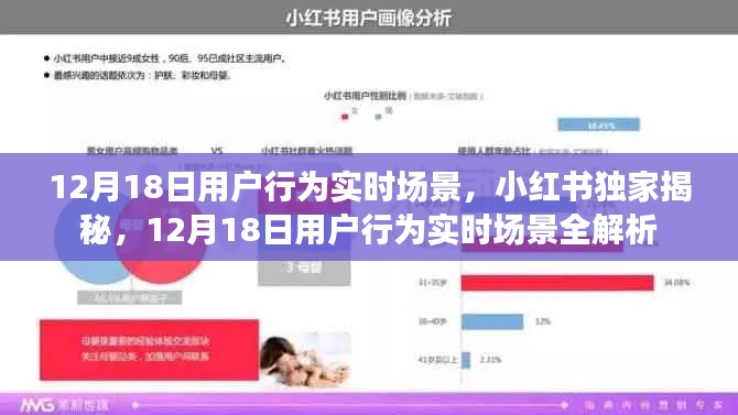 小紅書獨家揭秘,12月18日用戶行為實時場景全解析與洞察