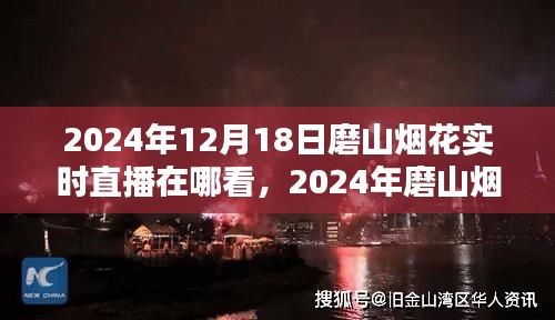 2024年磨山煙花盛典實時直播觀看指南與體驗解析