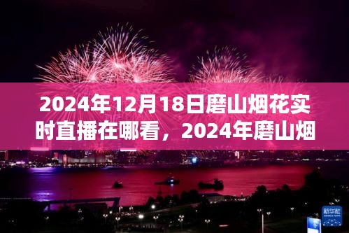 2024年磨山煙花盛典實時直播觀看指南與體驗解析