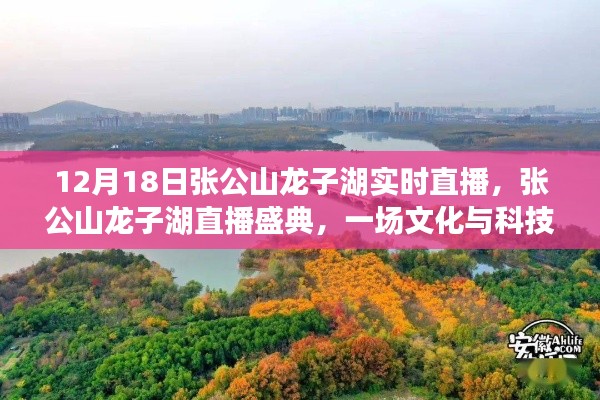 張公山龍子湖直播盛典,文化與科技的璀璨交融之夜