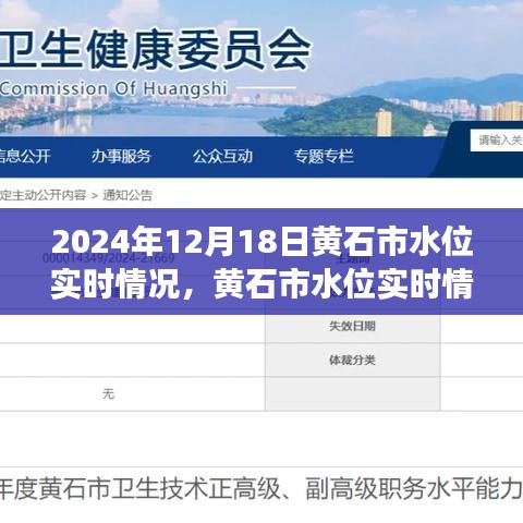 黃石市水位實時觀察與分析報告,聚焦黃石市水位實時情況觀察與觀點(2024年12月18日)