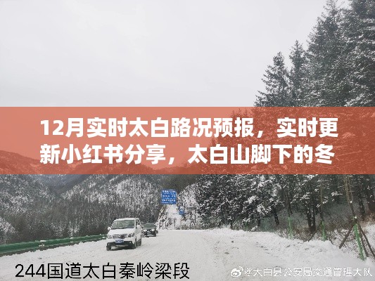 太白山冬季路況預報,12月實時更新與出行必備攻略(小紅書分享)