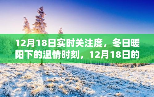 12月18日實時關注,冬日暖陽下的溫情時刻