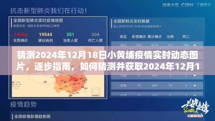 揭秘，如何獲取與猜測2024年小黃埔疫情實時動態(tài)圖片指南