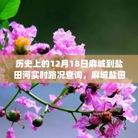 麻城鹽田河，一條路上的故事與溫情——實時路況查詢記錄