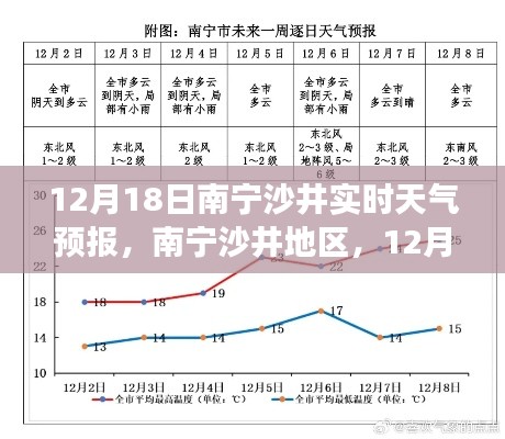 南寧沙井地區天氣預報解讀,12月18日天氣洞察與影響分析