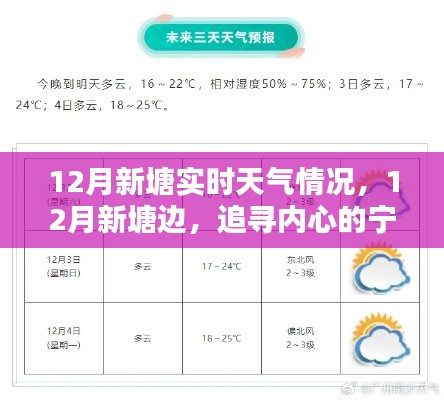 12月新塘實時天氣探索,追尋內心的寧靜與自然微笑
