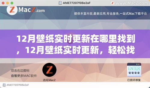 12月壁紙實時更新攻略,輕松找到并設置精美壁紙的步驟指南