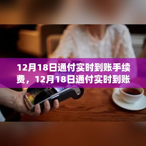 12月18日通付實時到賬手續費調整解析,新政策費用標準及其影響